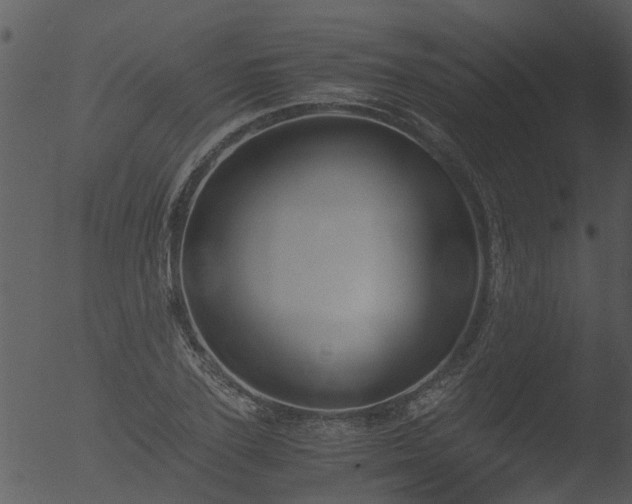 X0000053070931200507181622