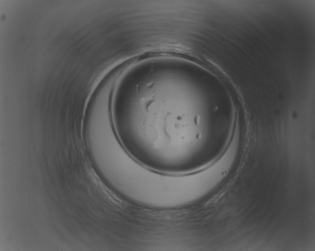 X0000053070932200507181622