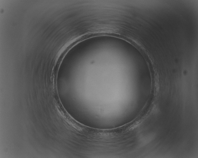 X0000053070933200507181622