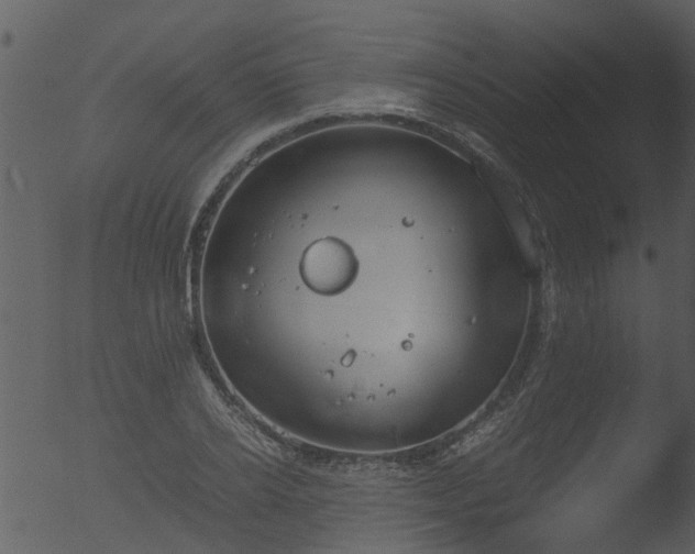 X0000053070934200507181622