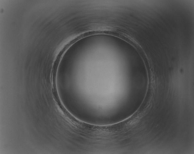 X0000053070935200507181622