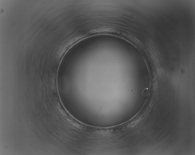 X0000053070937200507181622