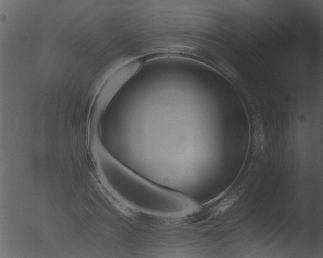 X0000053070940200507181622