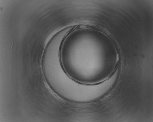 X0000053070944200507181622