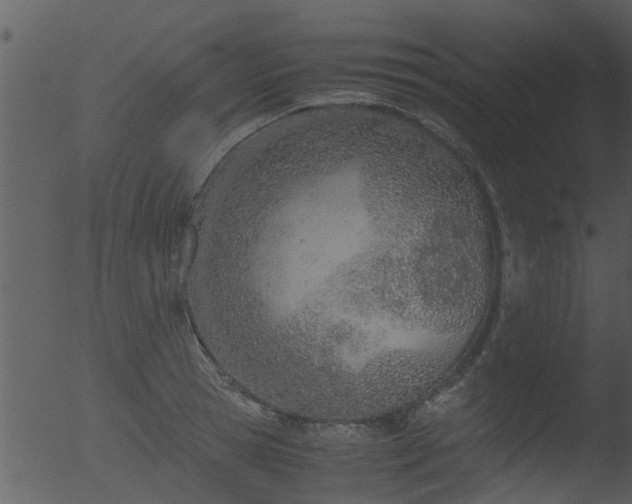 X0000053070945200507181622