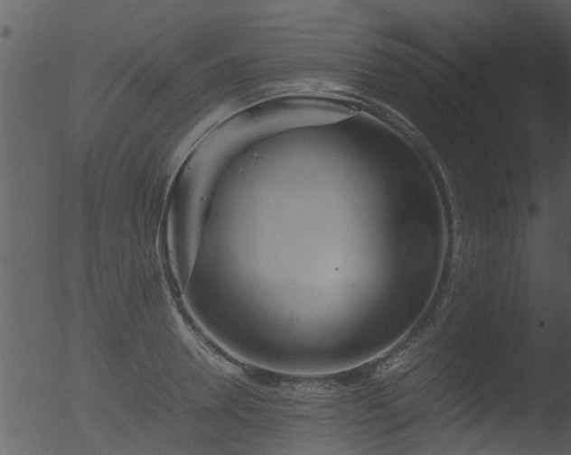 X0000053070946200507181622