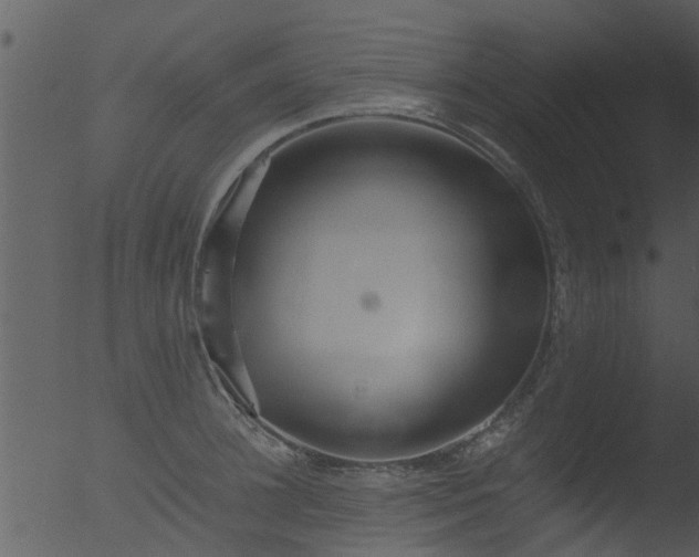 X0000053070948200507181622