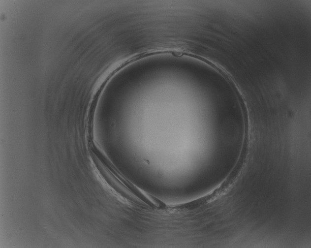 X0000053070949200507181622