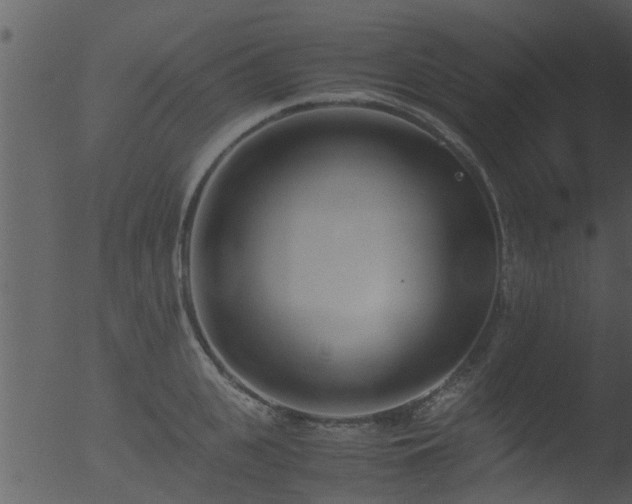 X0000053070951200507181623