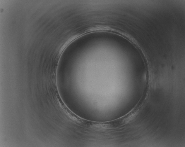 X0000053070953200507181623