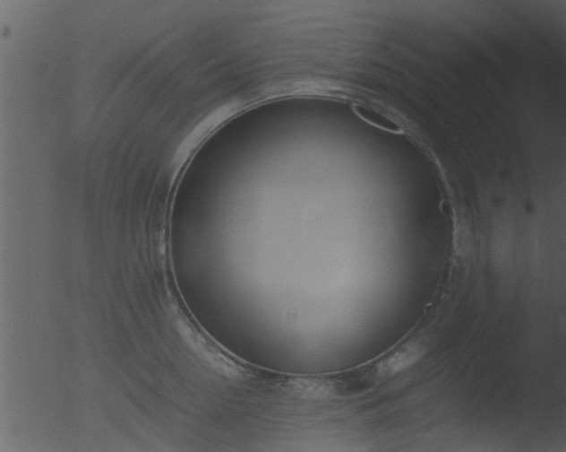 X0000053070954200507181623