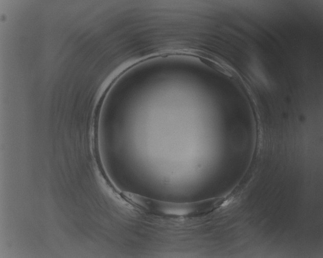 X0000053070955200507181623