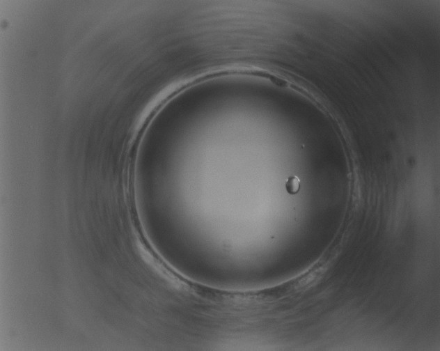 X0000053070958200507181623