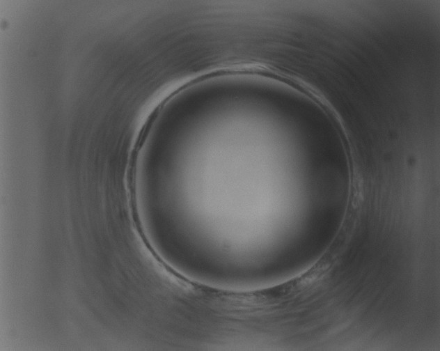 X0000053070959200507181623