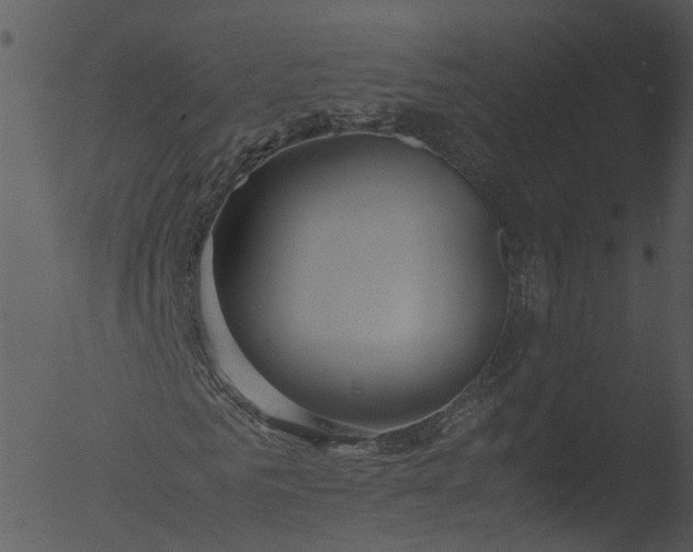 X0000053070961200507181622