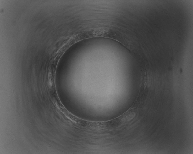 X0000053070962200507181622