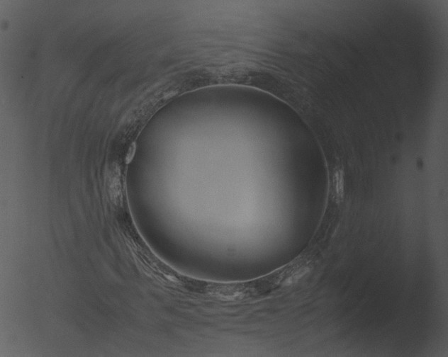 X0000053070963200507181622