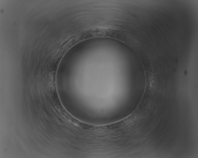 X0000053070964200507181622