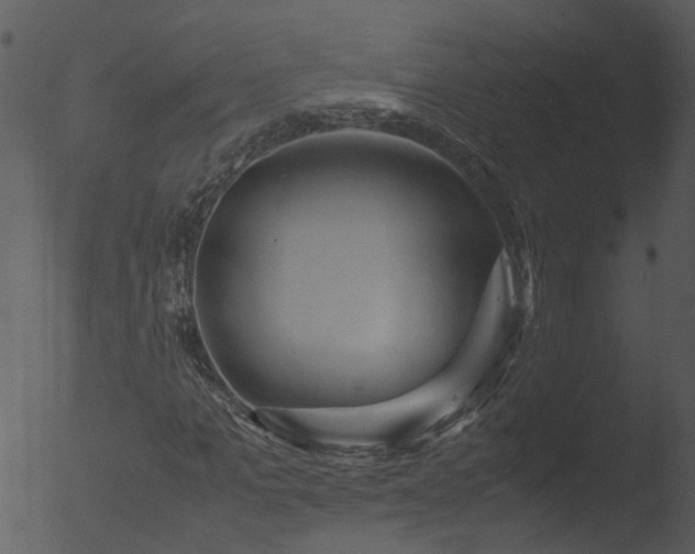 X0000053070965200507181622