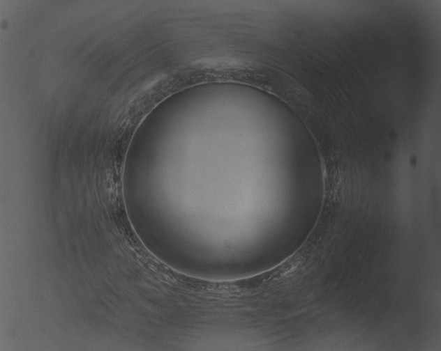 X0000053070966200507181622