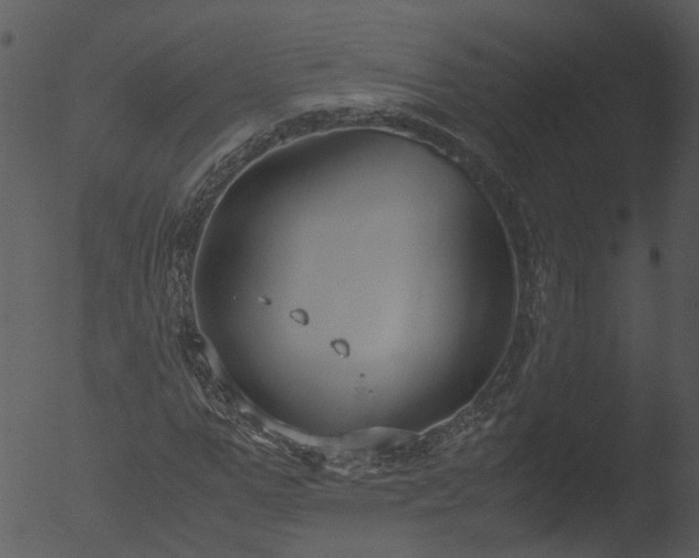 X0000053070967200507181622