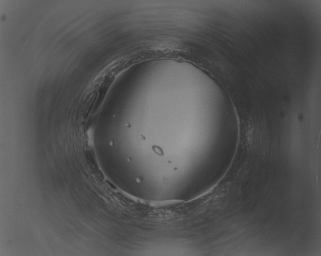 X0000053070968200507181622