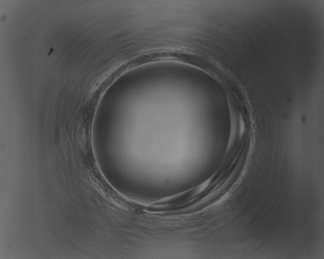 X0000053070969200507181622