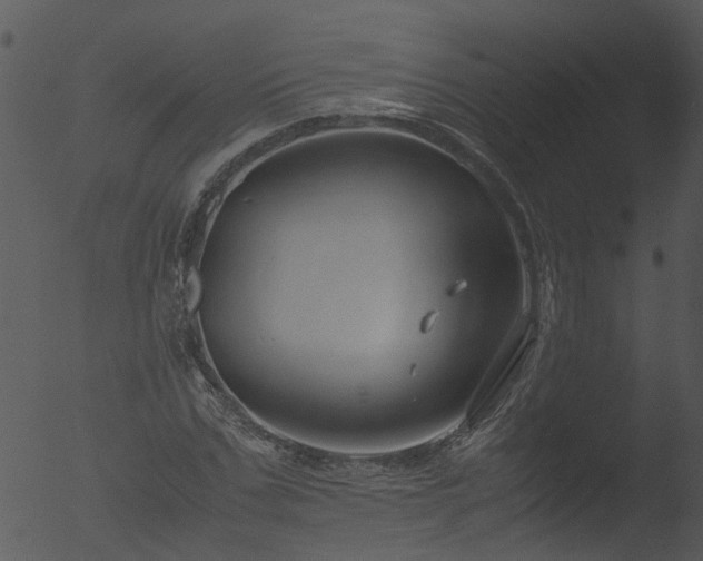 X0000053070971200507181622