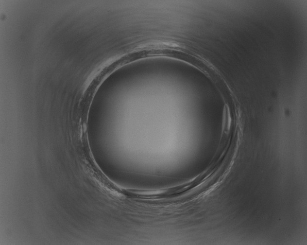 X0000053070973200507181622