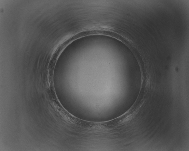 X0000053070974200507181622