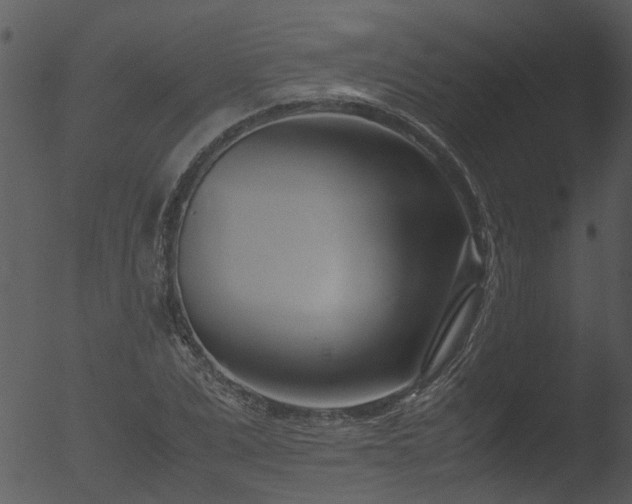 X0000053070975200507181622