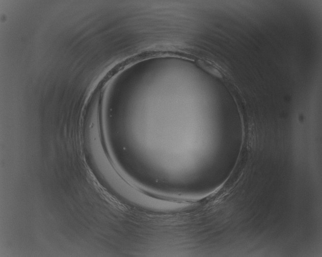 X0000053070976200507181622