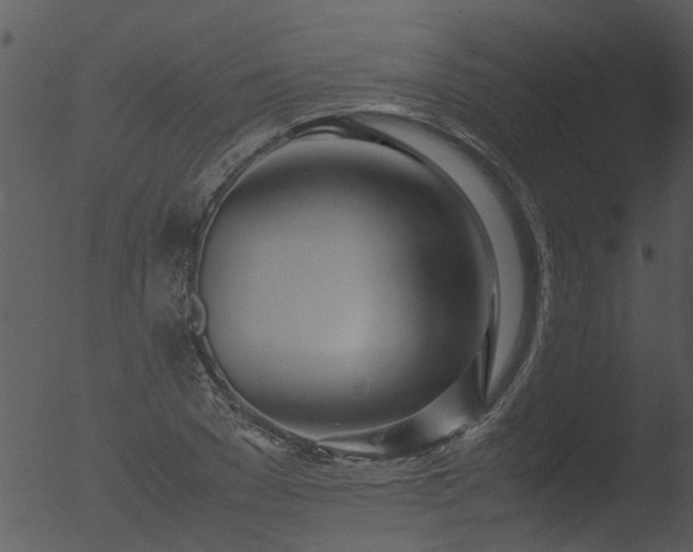 X0000053070977200507181622