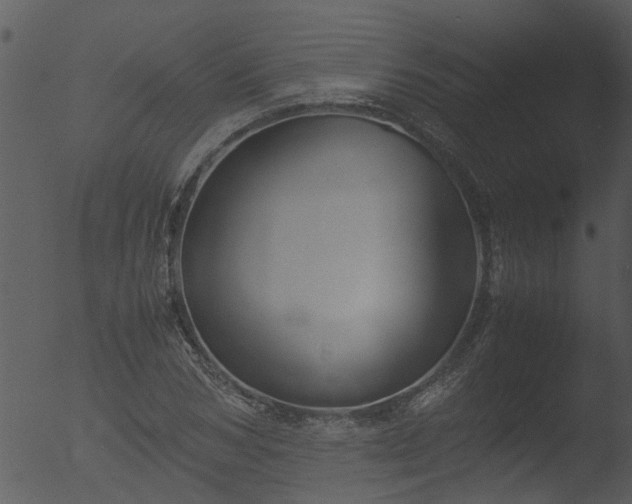 X0000053070978200507181622