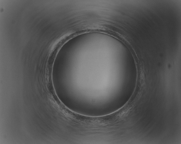 X0000053070979200507181622