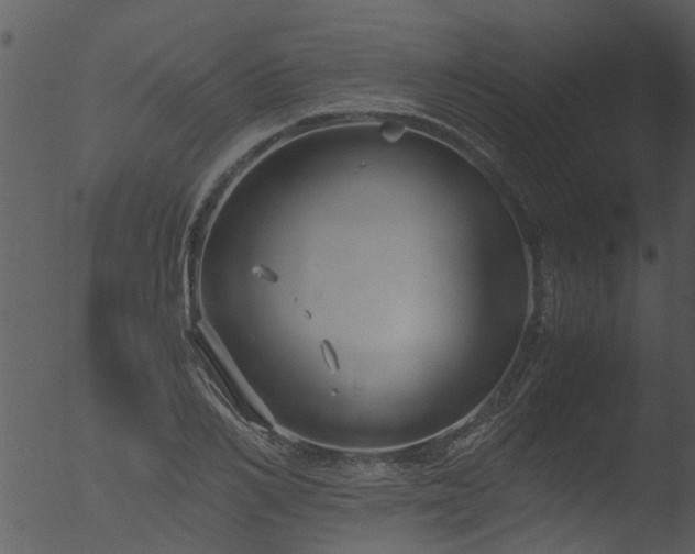 X0000053070982200507181621