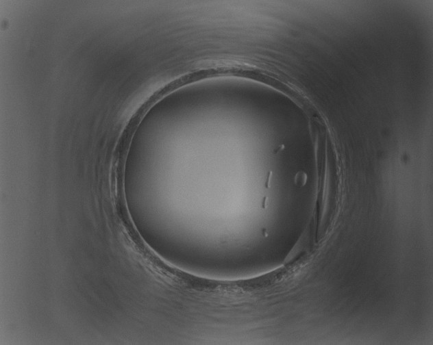 X0000053070983200507181621