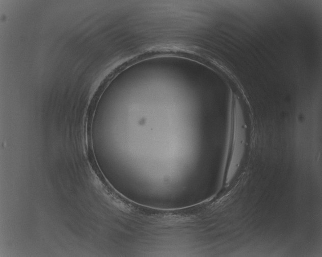 X0000053070984200507181621