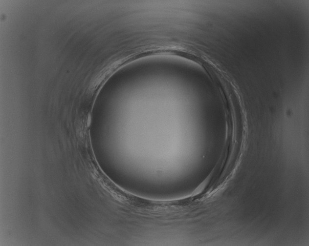 X0000053070985200507181621