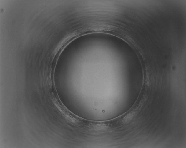 X0000053070986200507181621