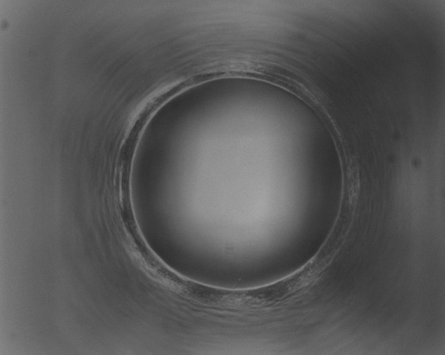 X0000053070987200507181621