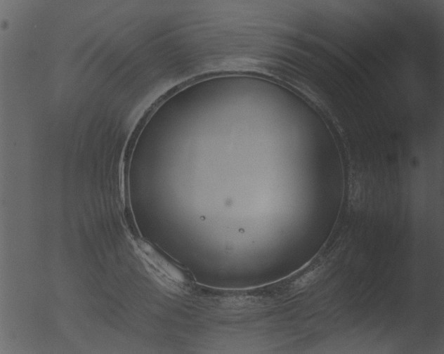 X0000053070988200507181621