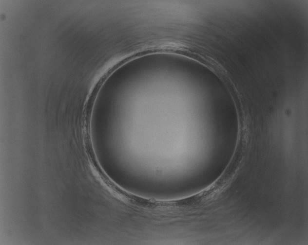 X0000053070989200507181621