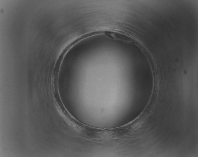 X0000053070991200507181621