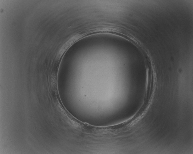 X0000053070993200507181621