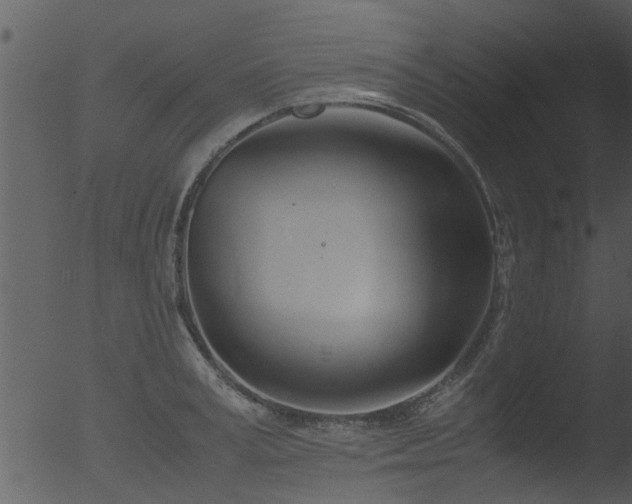 X0000053070995200507181621