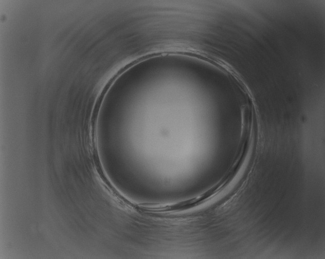 X0000053070996200507181621