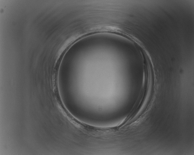 X0000053070997200507181621