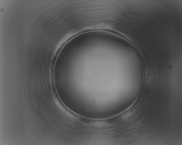 X0000053070998200507181621