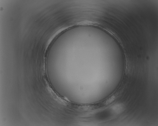 X0000053071000200507181621